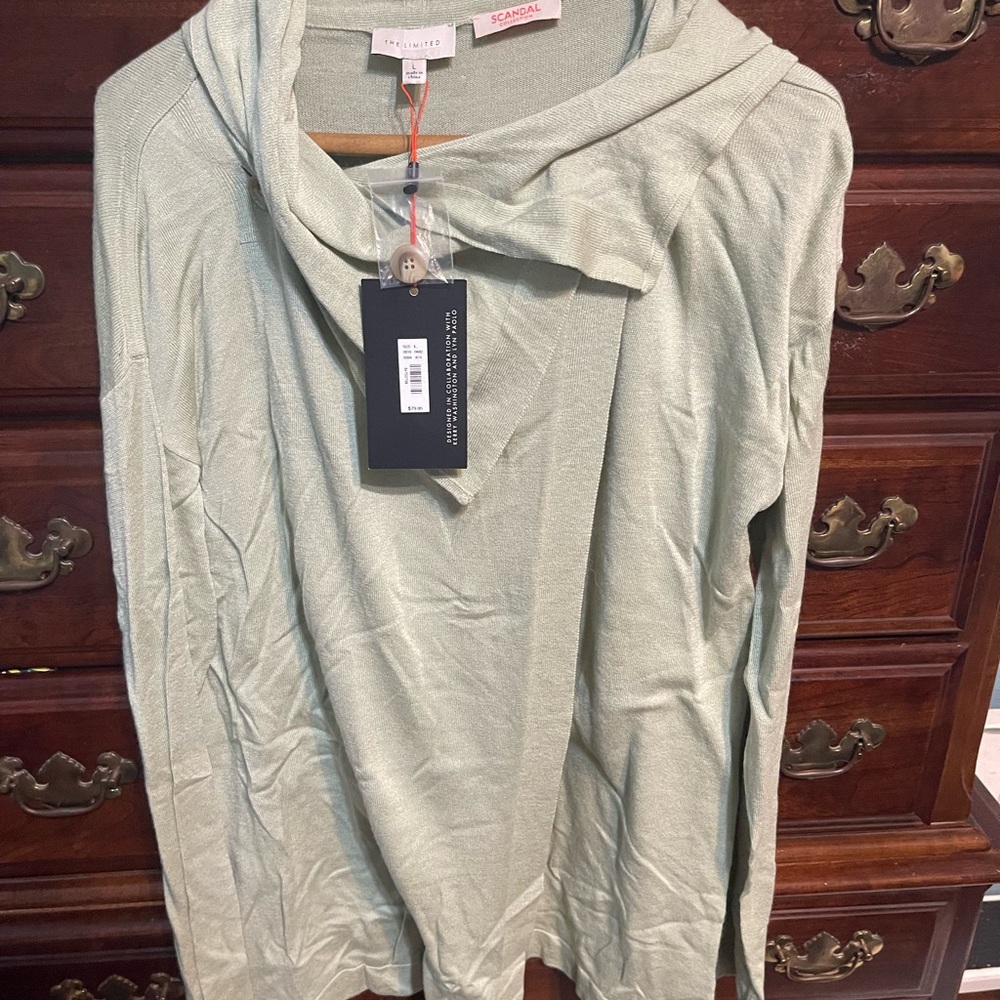 The Limited Light Green Sweater Cardigan